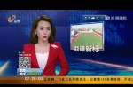 山東省發布塑膠跑道地方標準 某項限值比國標嚴格