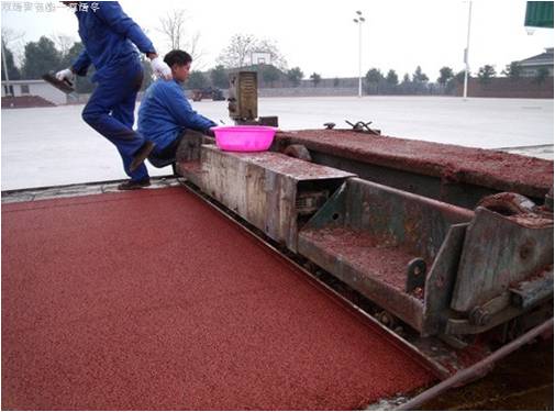 塑膠跑道鋪裝現場